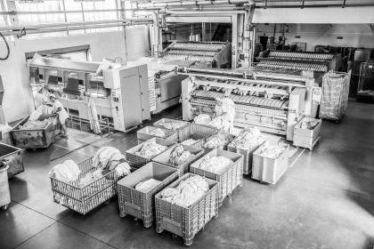 Lavanderia-industriale-Milano-azienda-Borromeo
